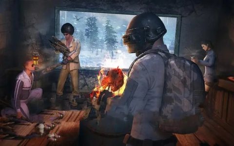 絕地求生CE私人輔助和普通的輔助有什么不一樣？哪個更好一些？