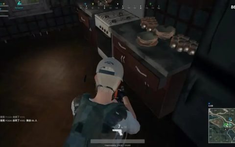 絕地求生RST輔助食品哪個好？怎樣的才算是好的 輔助 ？