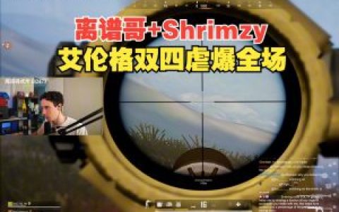 絕地求生手游輔助平臺(tái),絕地求生手游輔助平臺(tái)，游戲公平性的雙刃劍