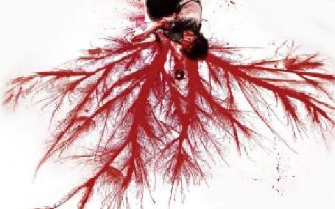 絕地求生exe輔助,絕地求生EXE輔助，游戲公平性的雙刃劍