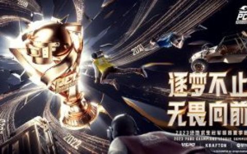 絕地求生dm輔助要多少錢,絕地求生DM輔助的價格與考量